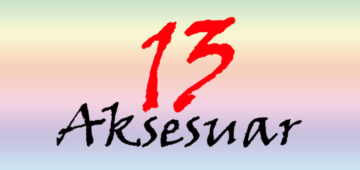 13 Aksesuar